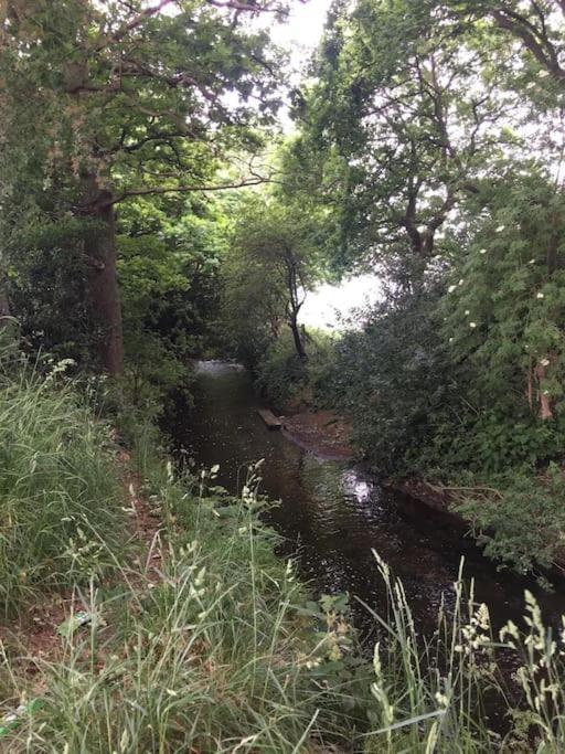 Pinewood #edwinstowe * Edwinstowe