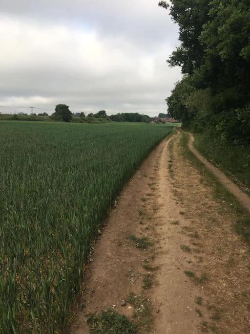 Pinewood #edwinstowe * Edwinstowe